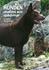 Hunden , Av: Hermansson, Christin 