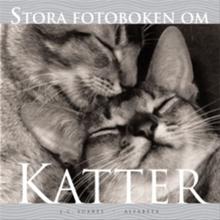 Bild Stora fotoboken om katter, Suarés, J C
