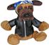 Boxer hund med skinnpaj