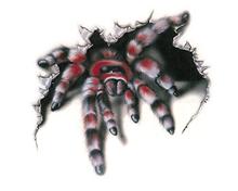 Bild Spider WildGraphic Liten - Dekal
