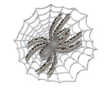 Bild Silver Spider - 18x17