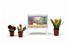 Lundby Småland akvarium + 3 st blommor