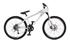 Draupner 019, 9-vxl,