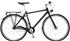 Nishiki Hybrid X3M 20 Herr