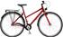 Nishiki Hybrid X3M 19 Dam
