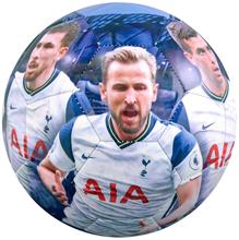 Bild Tottenham Hotspur Fotboll Spelare