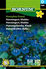 Bild Honungsfacelia 'Honeybee Friend' frö