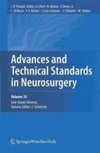 Bild Advances and Technical Standards in Neurosurgery, Vol. 35