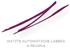 Collistar Automatic Lip Pencil 06 Prugna