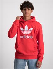Bild Adidas Originals, TREFOIL HOODIE, Röd, Huvtröjor/Hoodies till Kille, 146 cm