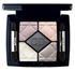 Christian Dior 5 Colour Iridescentes Eyeshadow 029 Moonlight