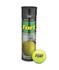 Dunlop Fort 1 rör (4 bollar)