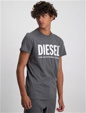 Bild Diesel, TJUSTLOGO T-SHIRT, Grå, T-shirts till Kille, 14 år