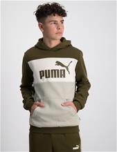 Bild Puma, ESS+ COLORBLOCK HOODIE FL B, Grön, Huvtröjor/Hoodies till Kille, 176 cm