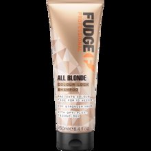Bild Fudge - All Blonde Colour Lock Shampoo