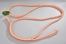 Bild Teufelberger tREX Ploopie