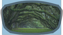 Bild F39 Mesh visor with Print (South Crolina Branches)