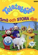 Bild Teletubbies - Små och stora djur