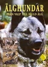 Bild Älghundar , Pedersen, Kåre Vidar