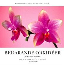 Bild Bedårande orkidéer , Göttfert, Peter