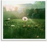 Bild Luminus , av Mattias Windemo 