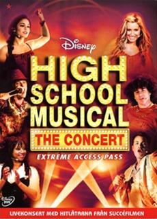 Bild High School Musical - The Concert