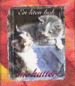 Bild En liten bok om katter , Redaktör: Norli, Harald , Norli, Katarina