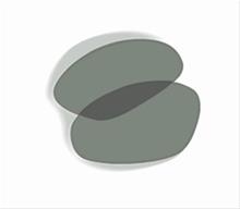 Bild Wiley X XL-1, Smoke Lenses (XLS)