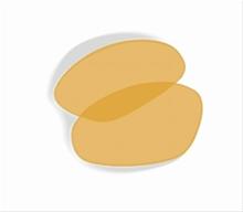 Bild Wiley X XL-1, Light Rust Lenses (XLL)