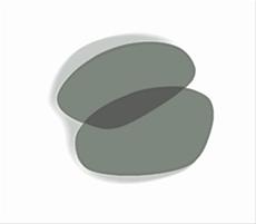 Bild Wiley X XL-1, LA Light Adjusting Lens (XLA)