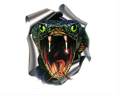 Bild Snake WildGraphic Liten - Dekal