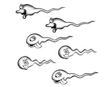 Bild Swimers Dekalkarta - 11x10