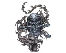 Bild Skull & Dragon - 8x11