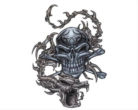 Bild Skull & Dragon - 8x11