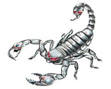 Bild Silver Scorpion - 11x10