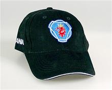 Bild Keps - Scania Plain