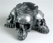 Bild Askkopp Skulls
