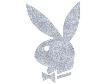 Bild Playboy - CarTattoo Silver Ink