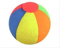 Bild Beach Ball Antennboll
