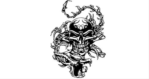 Bild Skull and Snake