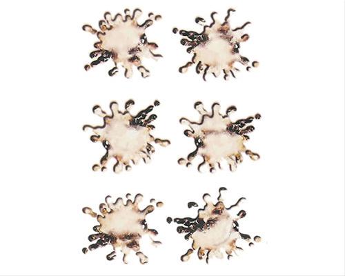 Bild Fågelskit - Stickers