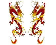 Bild Blazing Dragon - CarTattoo