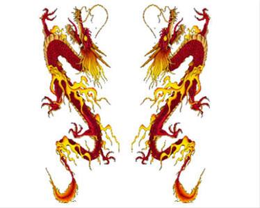 Bild Blazing Dragon - CarTattoo