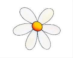 Bild Daisy - CarTattoo