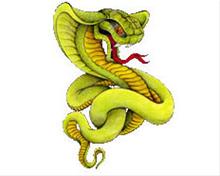 Bild Green Cobra - CarTattoo