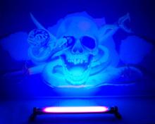 Bild FX-motiv Skull