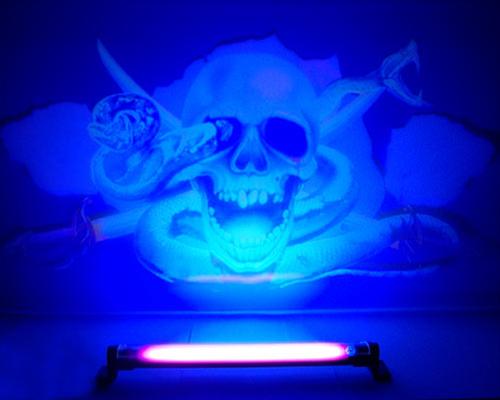 Bild FX-motiv Skull