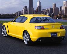 Bild Bakrutedekal Tribal 06