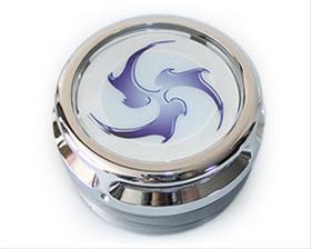 Bild Instant Blue-Tribe Grön