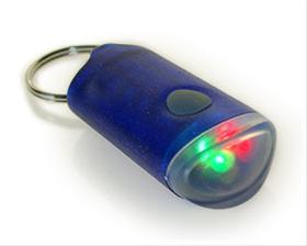 Bild Nyckelring Kameleont